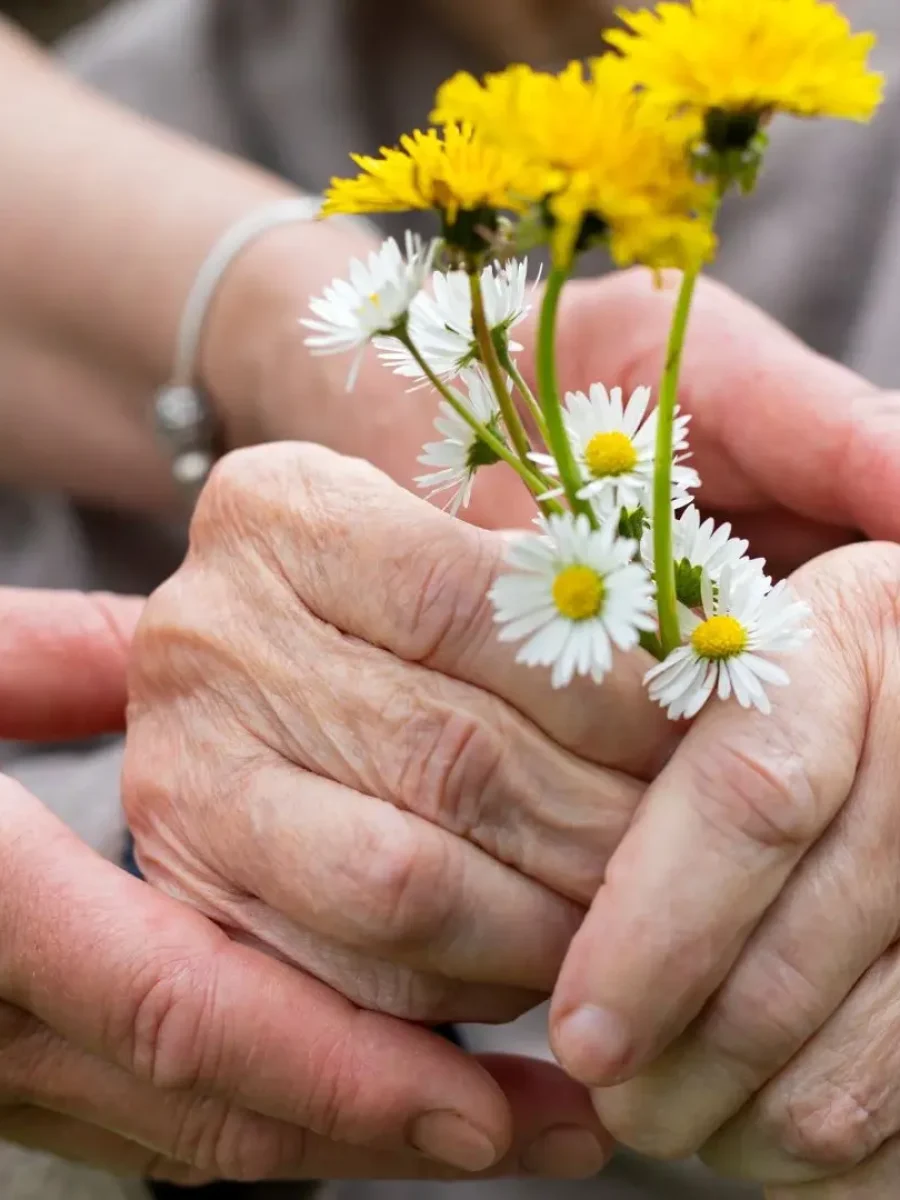 Bestattungsvorsorge Beratung bei Freuer Delmenhorst